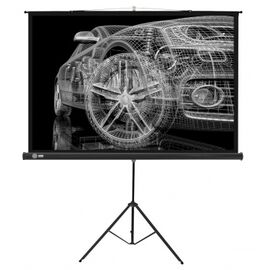  Экран Cactus 124.5x221см Triscreen CS-PST-124x221 16:9 напольный рулонный черный 
